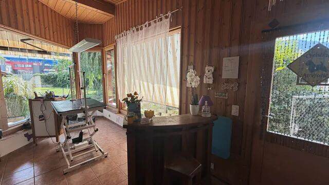 Le comptoir d'accueil en bois arrondi, une orchidée posée dessus.